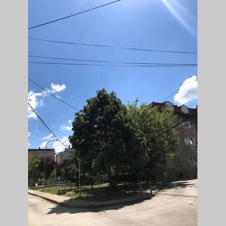 Cozy Apartment In The Old Center Of Prishtina Pristina Exteriör bild