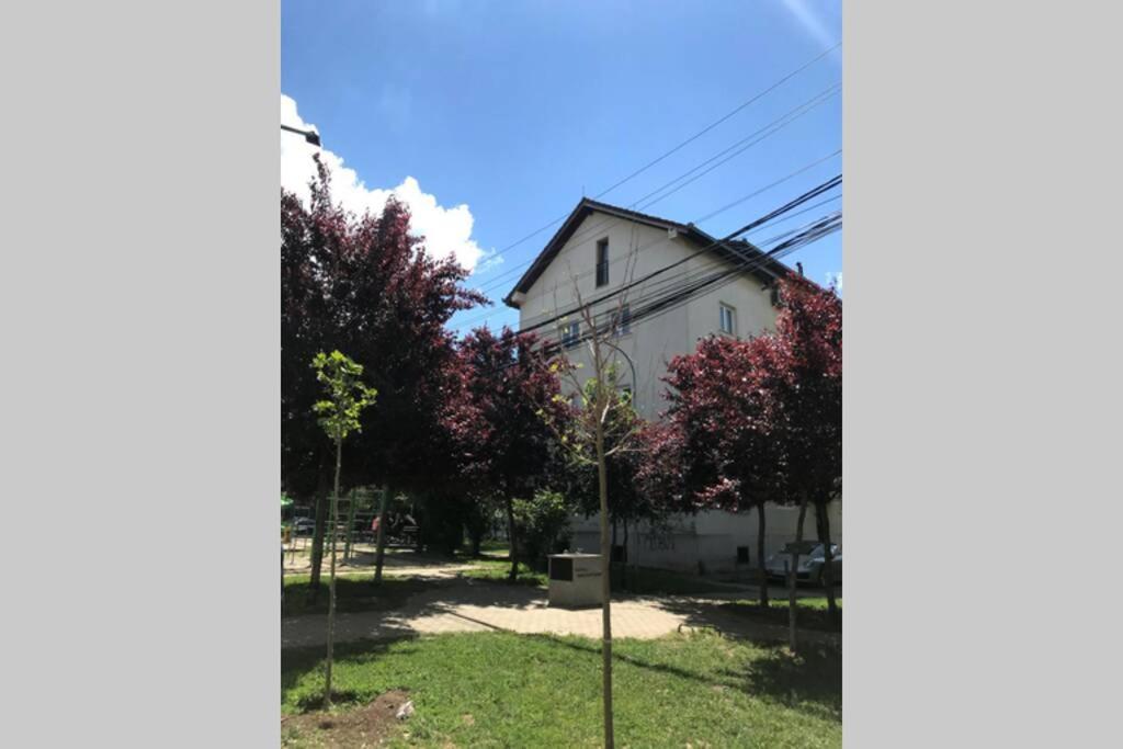 Cozy Apartment In The Old Center Of Prishtina Pristina Exteriör bild